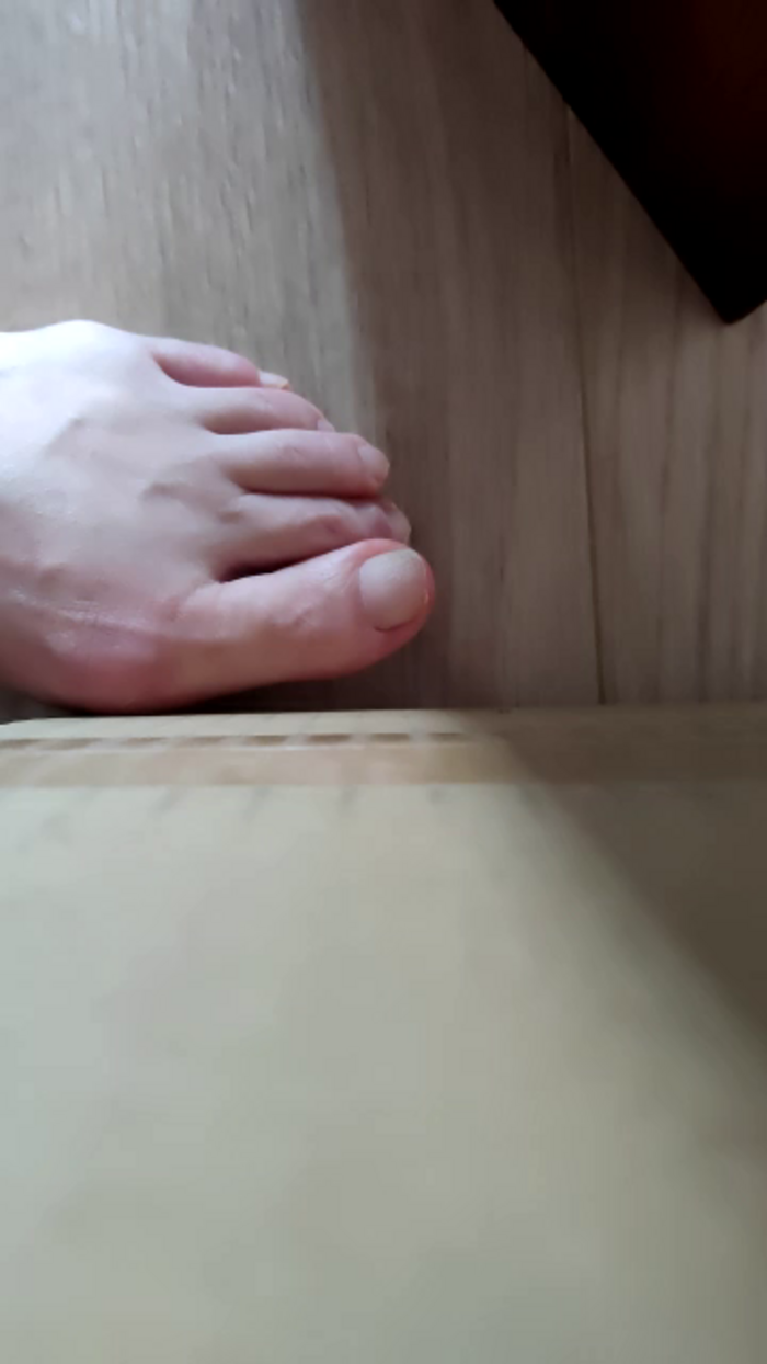 shinamoxcamera