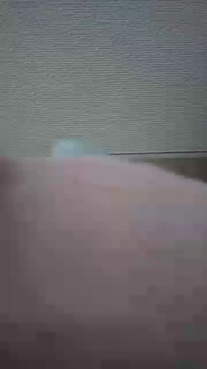 OhLady010