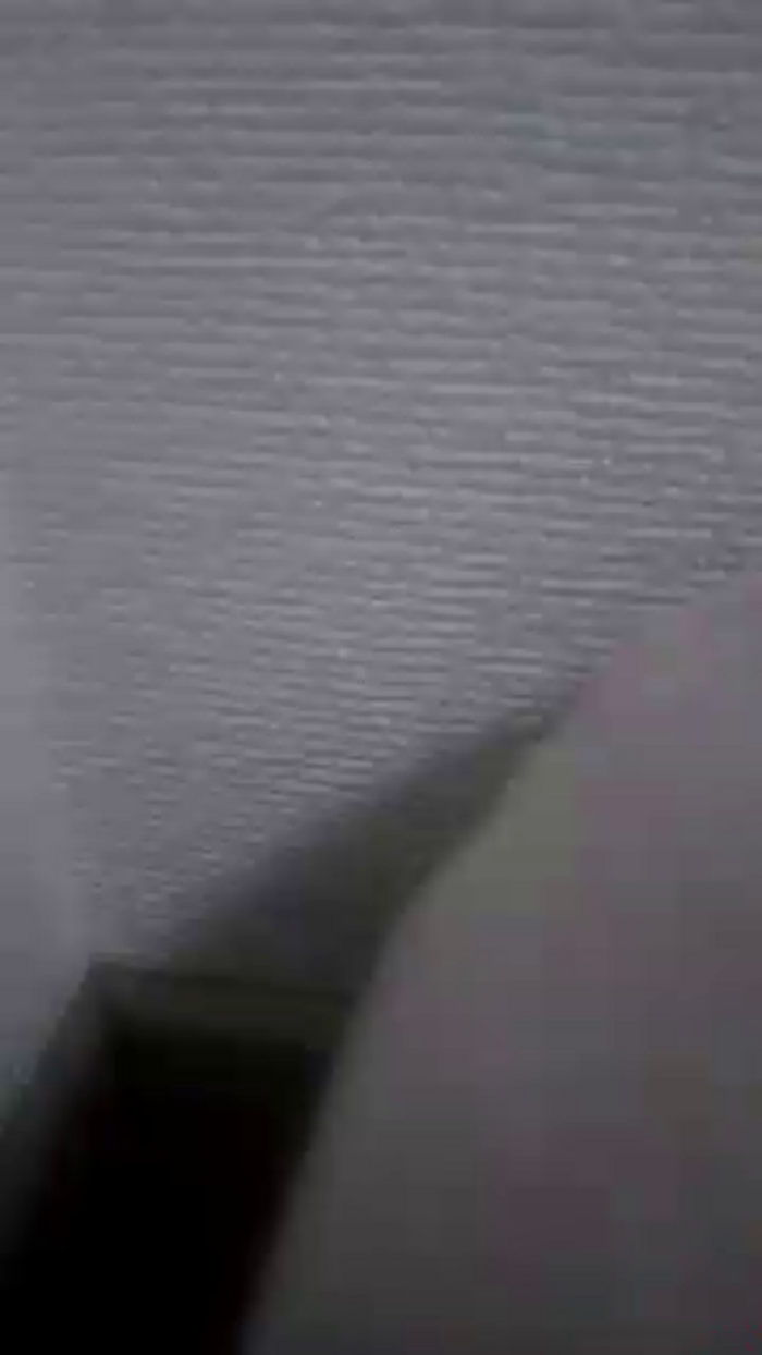 OhLady010