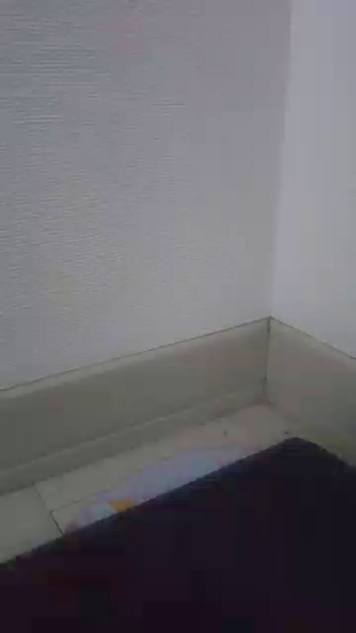 OhLady010