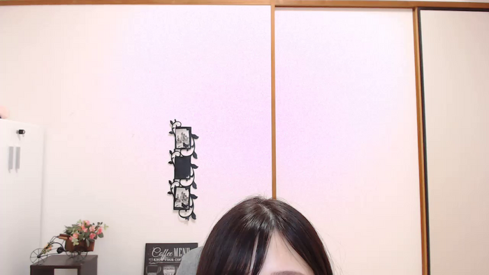 SHIZUKAvo