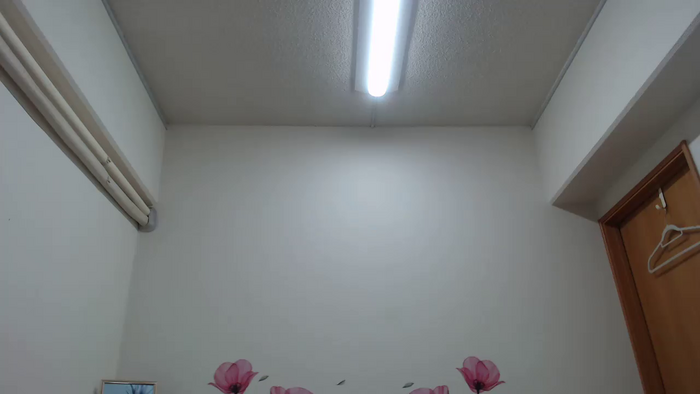 REIKAxdxx