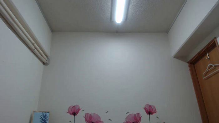 REIKAxdxx