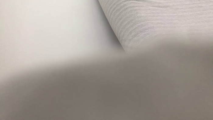Riinapussy