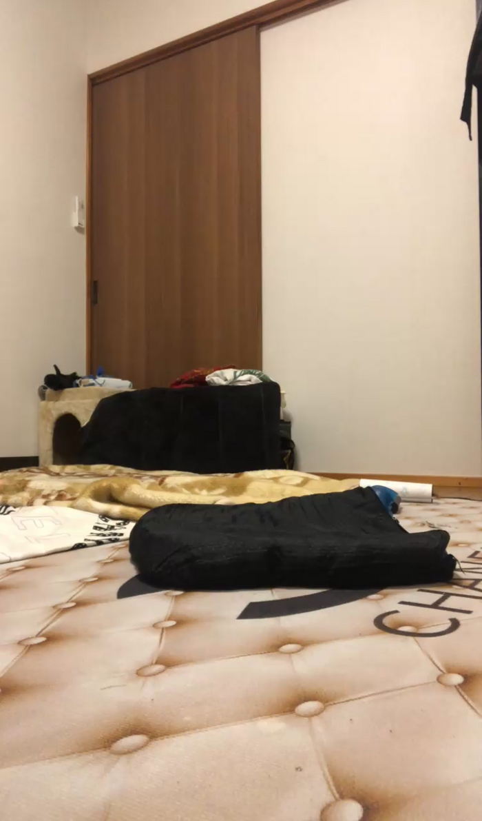 hahiru