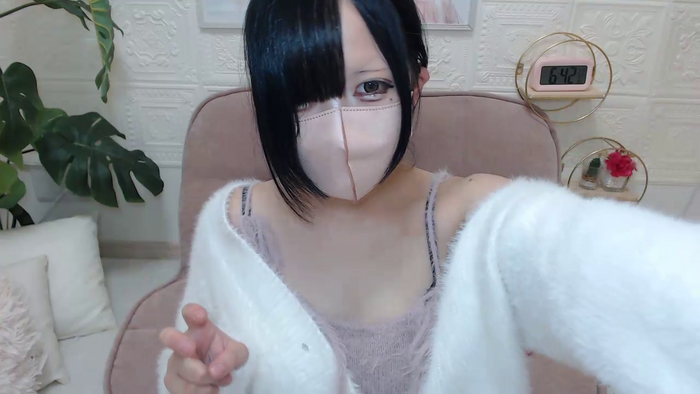Mimixo