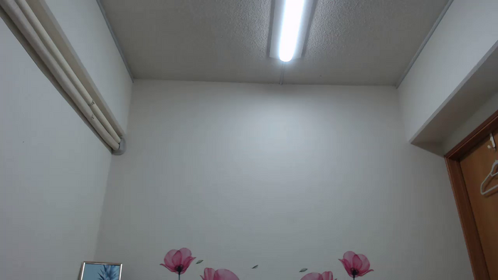 REIKAxdxx