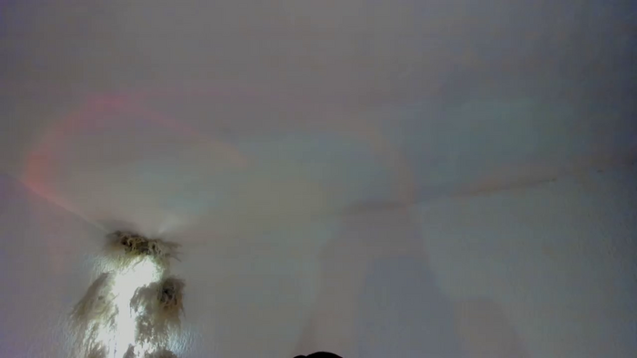Jeaniineescot