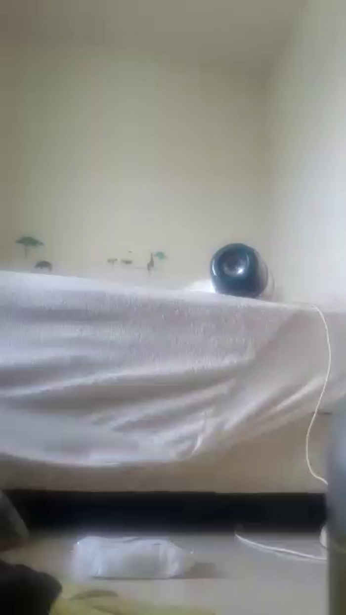 sayatan5