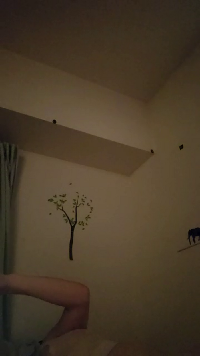 sayatan5