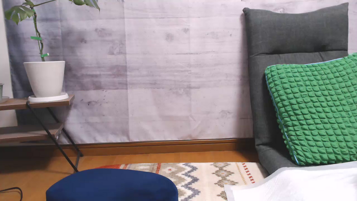 seina25