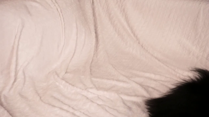 kattygold4