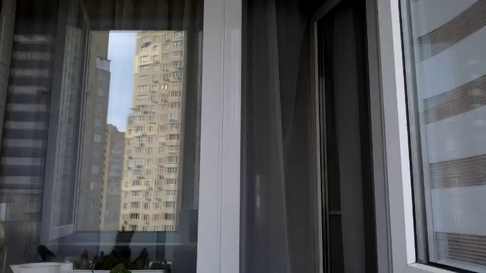 Tina_a