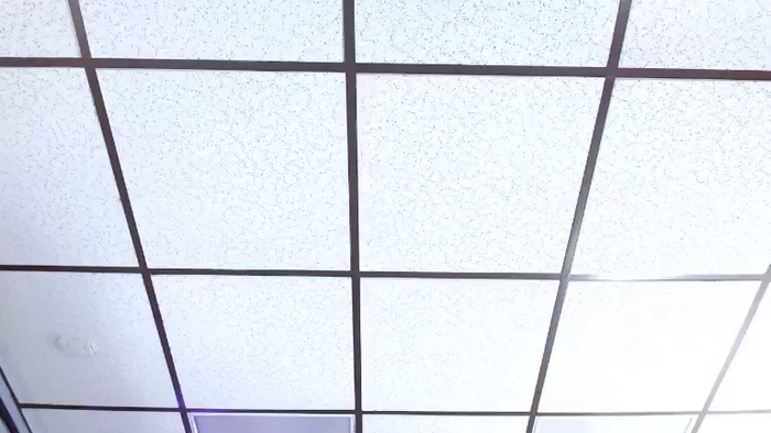 Alex_Dinero