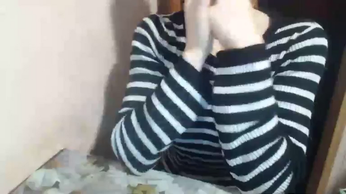 LilyDreamy