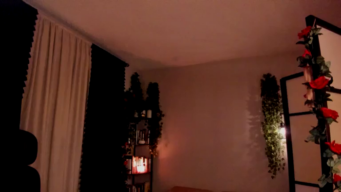 VoluptuousSophia