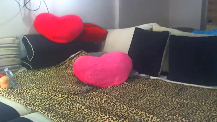Xxx_EVA_xxX