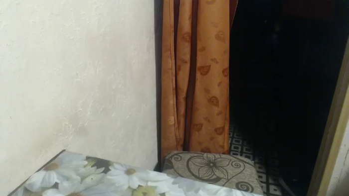 LilyDreamy