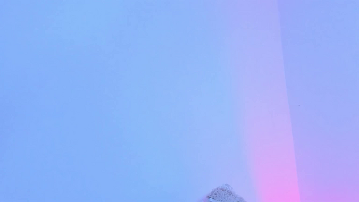 Aurora_Angel