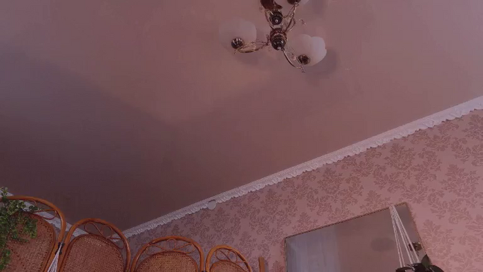 BambiFawn