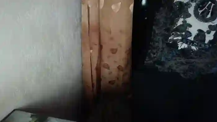 2025/08/08/streamate-lilydreamy-16-33-23