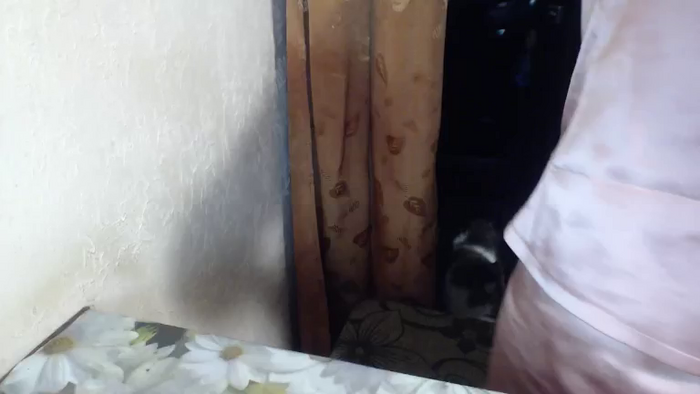 LilyDreamy