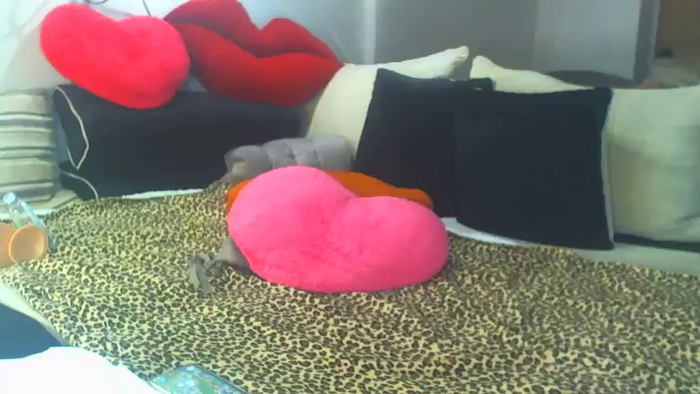 Xxx_EVA_xxX