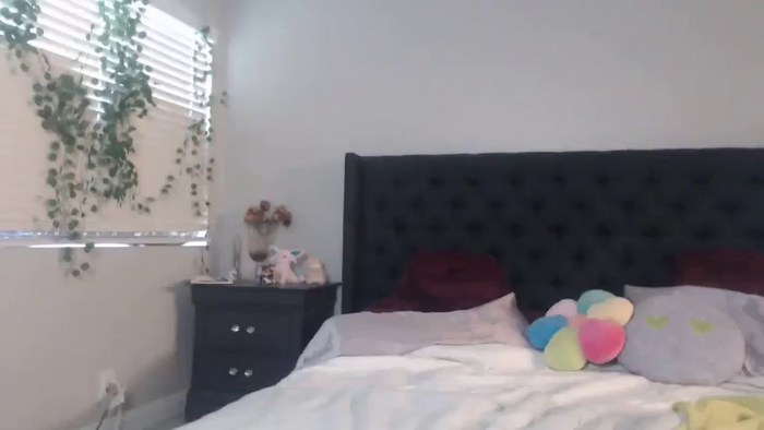 theselenarainx