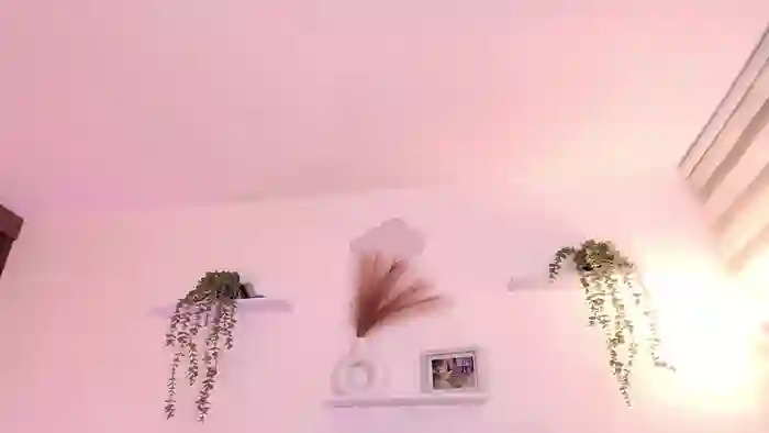 2025/10/25/streamate-arystonne-08-55-06