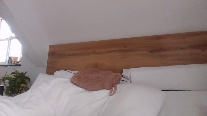 Jasminfoxx