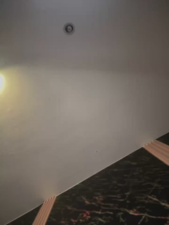 Alexandra_duque