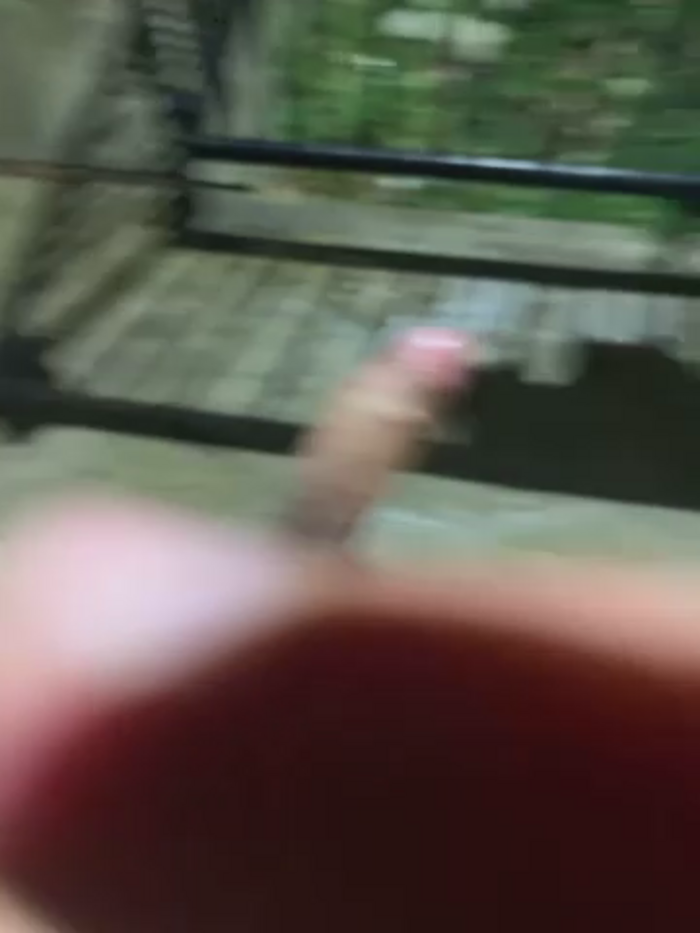 MaxxxSteil
