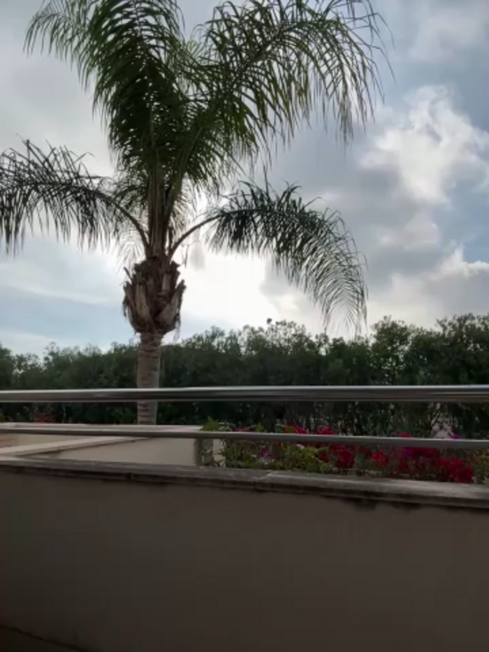 RaonXO