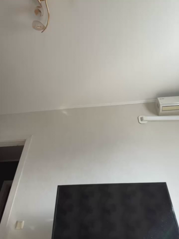 RinaCat
