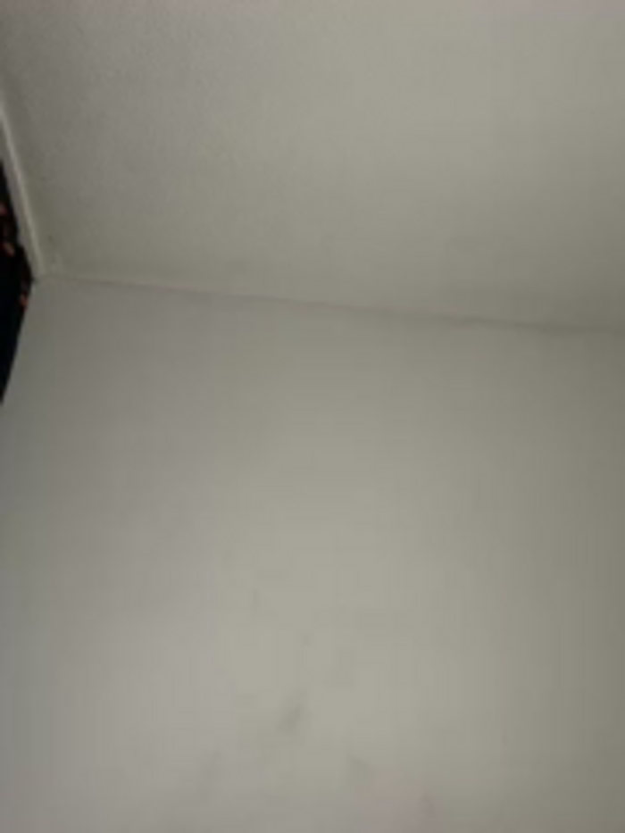 _Danna