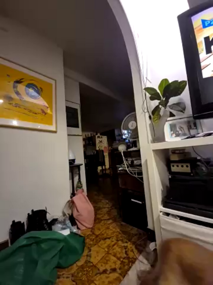 wildyoungNhorny