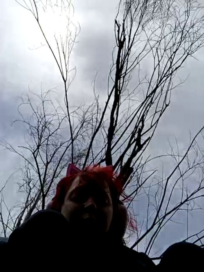 Noka_Foxy