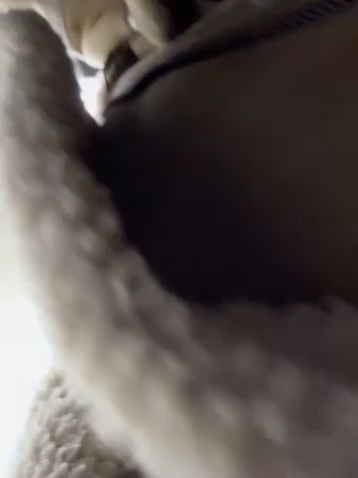 -AngelAri-