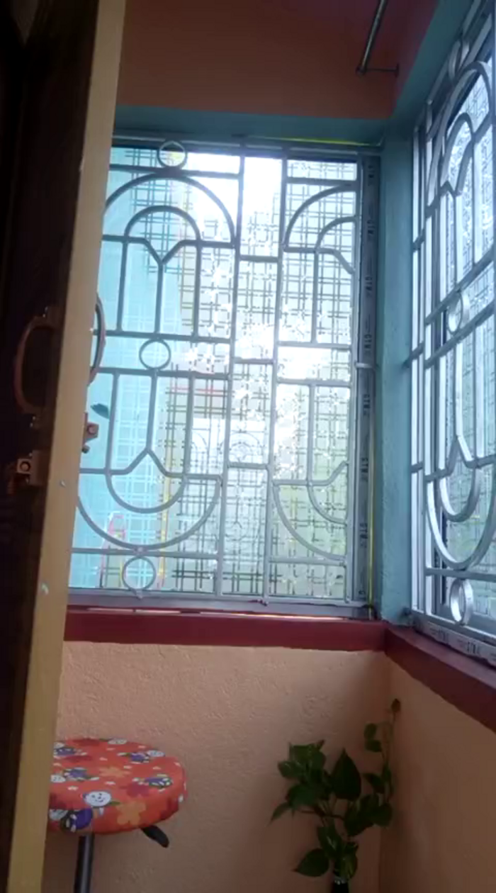 Starling_Zara