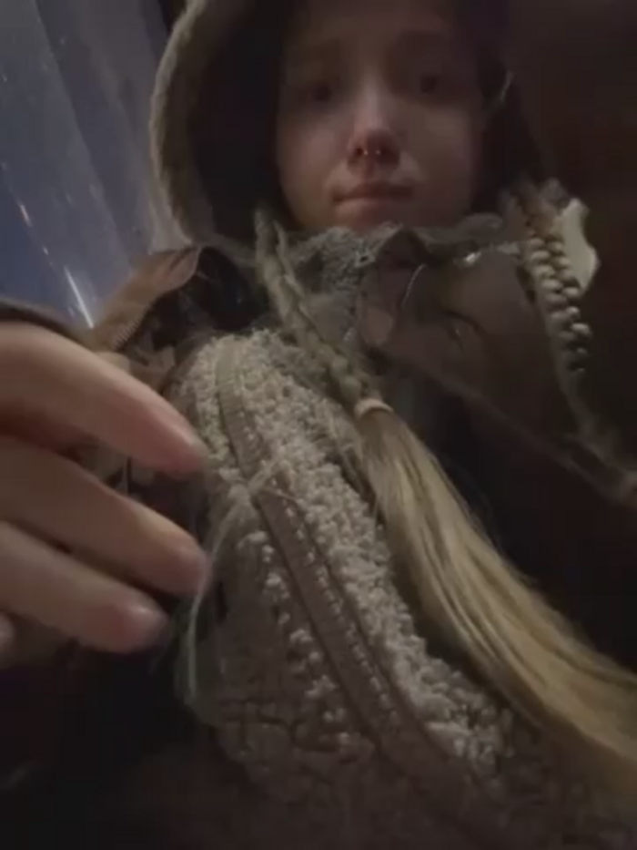 bambi_lu