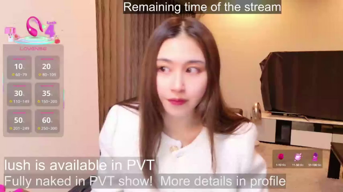 -satomi-jp