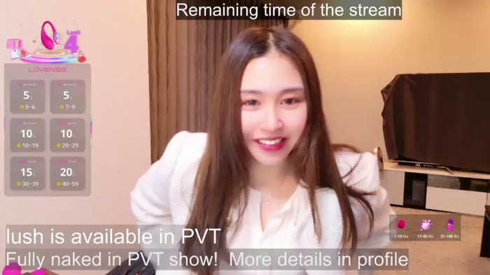 -satomi-jp