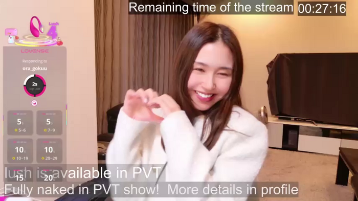-satomi-jp