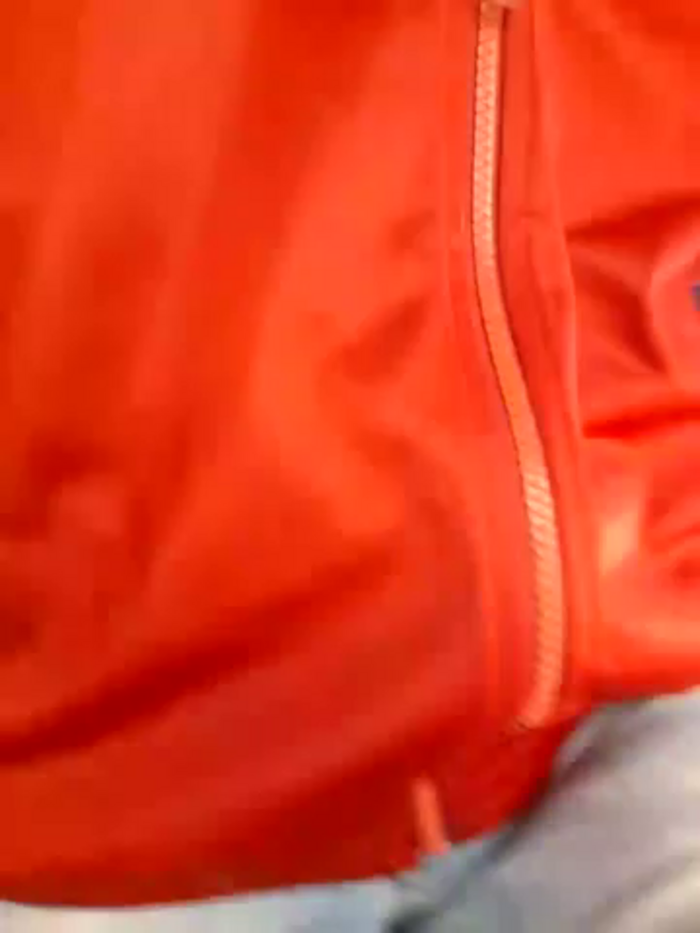 Silvia_Zeno