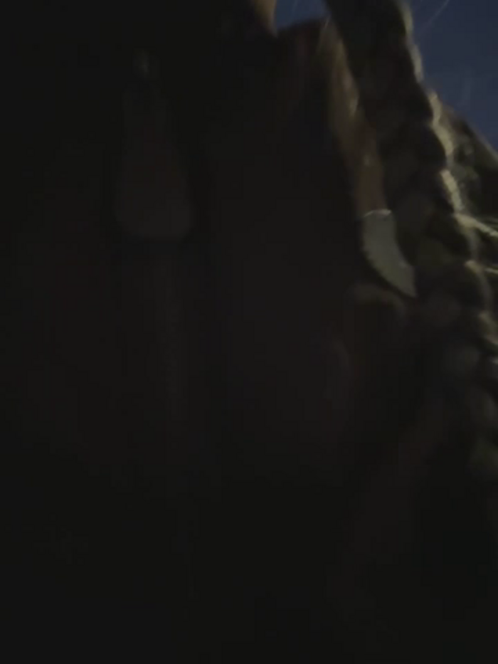 bambi_lu