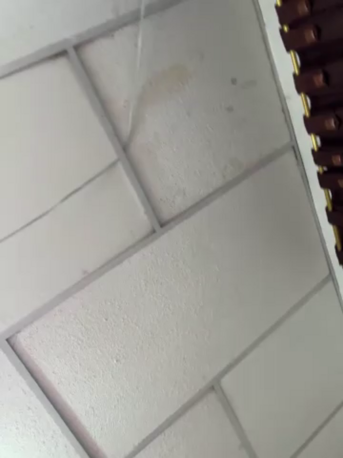 alicia_squirt_big