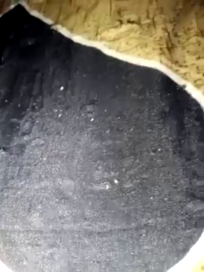 Babu_ki_rani