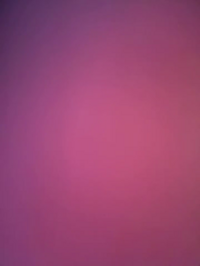 Asianpie_