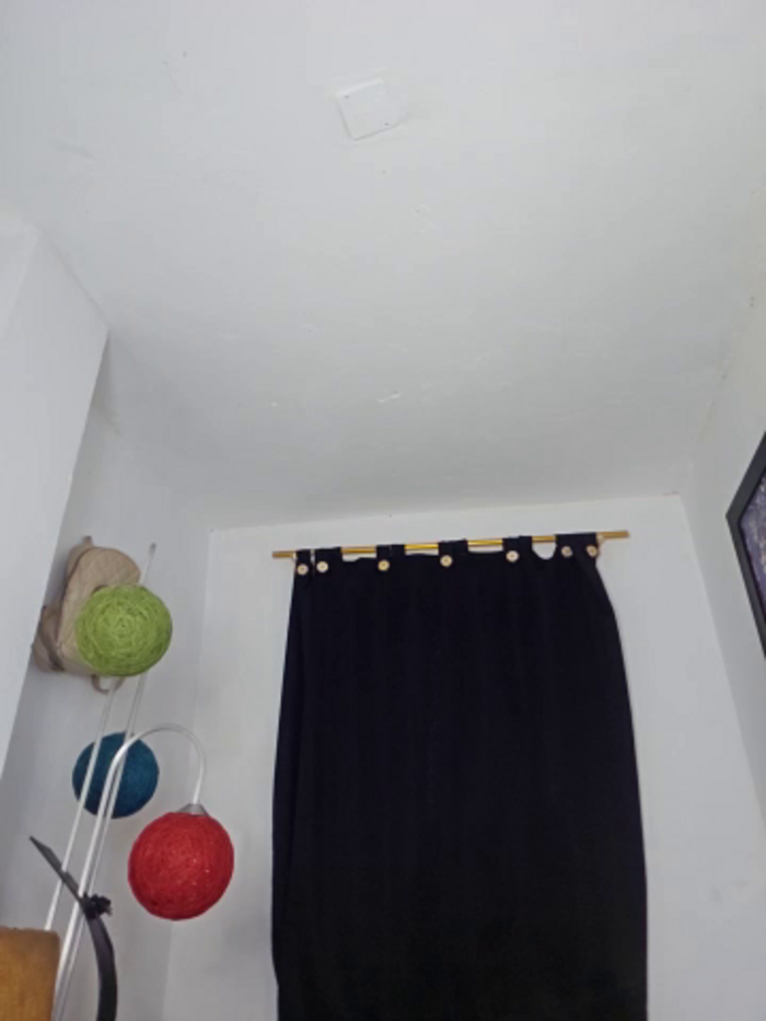 Antonella2_m