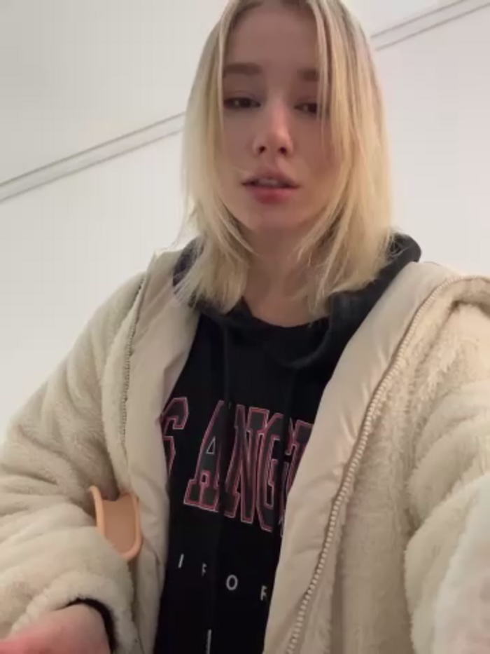 SSSATIVA_model